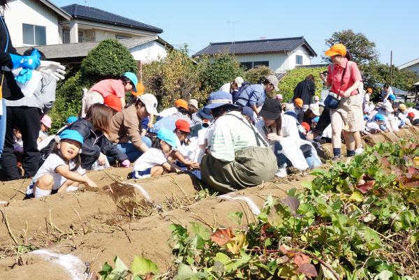 お芋堀り♪