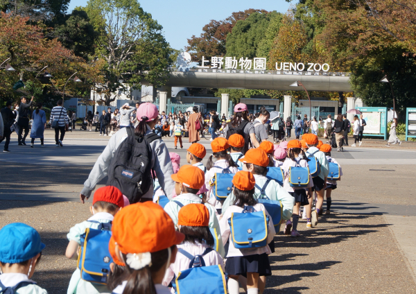 わくわく遠足♪上野動物園♪