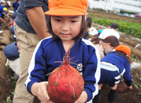 お芋掘り遠足♪