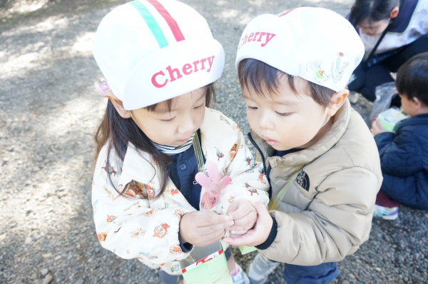 【島田チェリールーム】どんぐり拾い