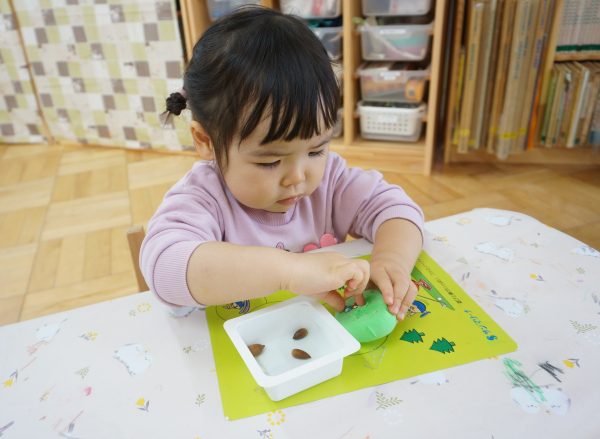 【島田チェリールーム】どんぐり拾い