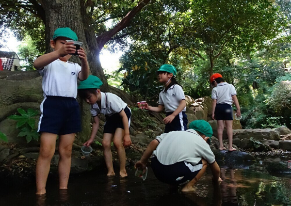 名主の滝公園に行きました！≪年長組≫