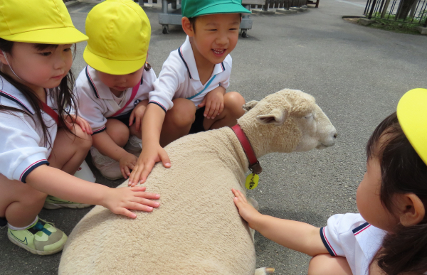 こども動物園
