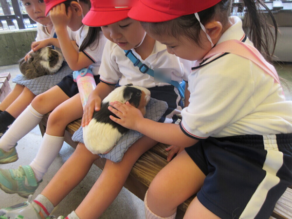 こども動物園