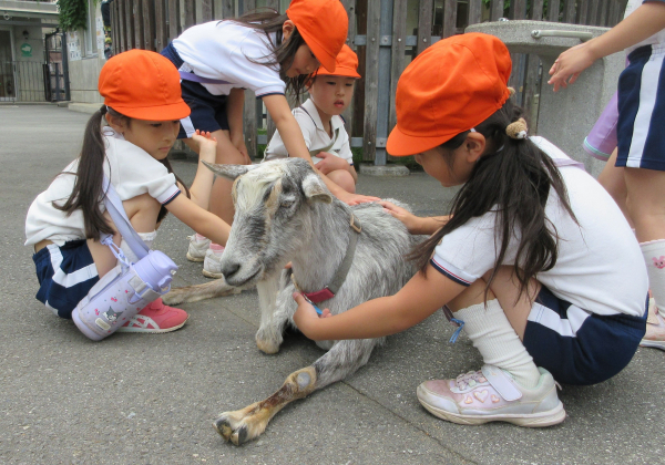 こども動物園