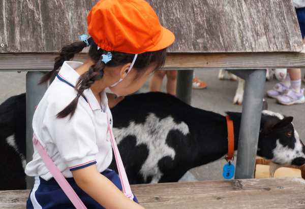 板橋子ども動物園