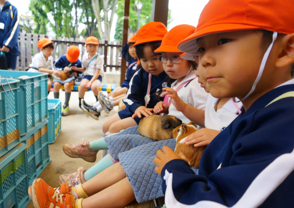 板橋子ども動物園