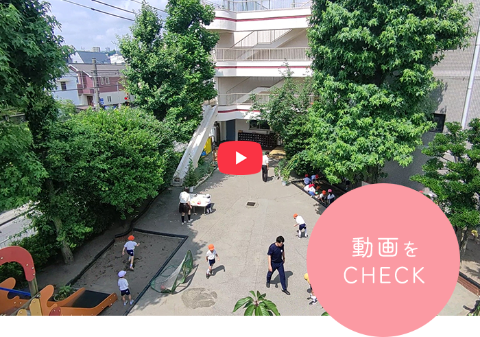 動画をCHECK